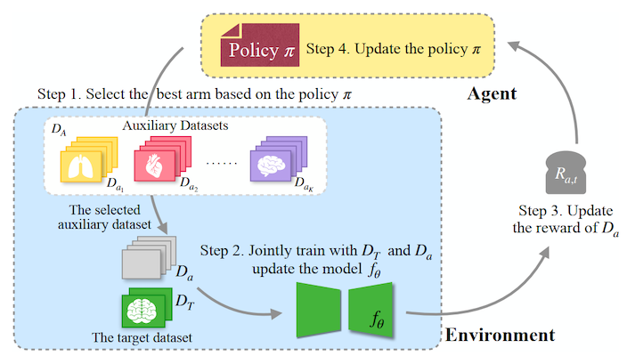 Adapting Foundation Models for Few-Shot Medical Image Segmentation: Actively and Sequentially