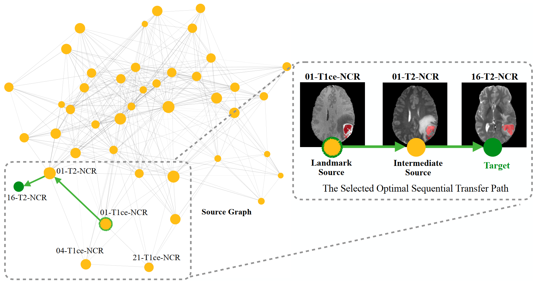 Graph-guided Sequential Transfer for Medical Image Segmentation. (IEEE BIBM’24)