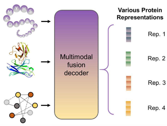 A Transferability-Based Method for Evaluating Protein Representations