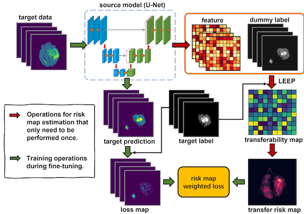 transfer risk map guided weighted fine-tuning framework